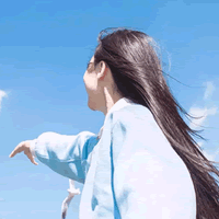 转载大师在柴大官人博客的专栏